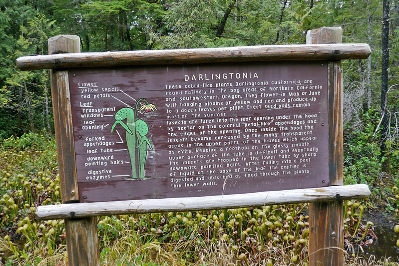 An informational sign at Darlingtonia State Natural Area.