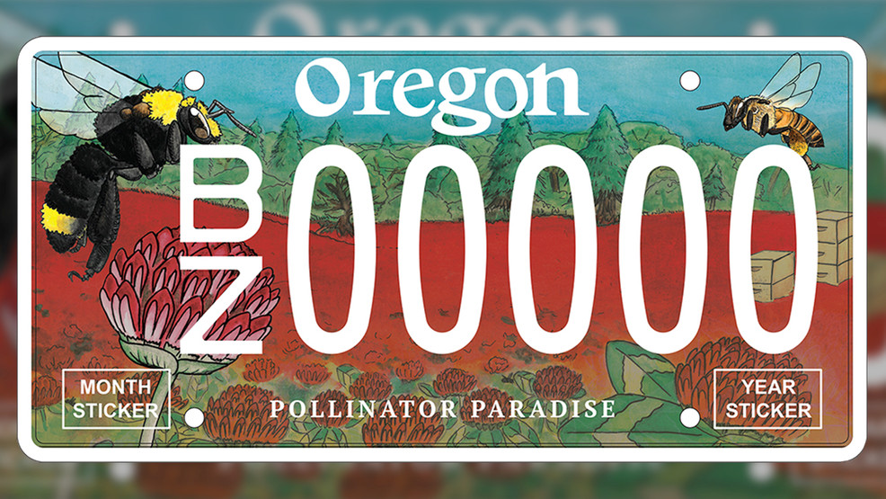 Oregon Rolling Out New Adorable Bee License Plates To Support Pollinators
