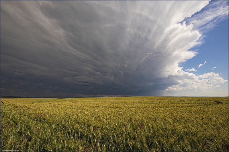 late summer storm, wheat fields, oregon, pendleton, dramatic sky