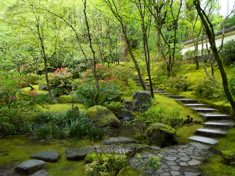 A Walk Through Portland’s Tranquil Japanese Gardens
