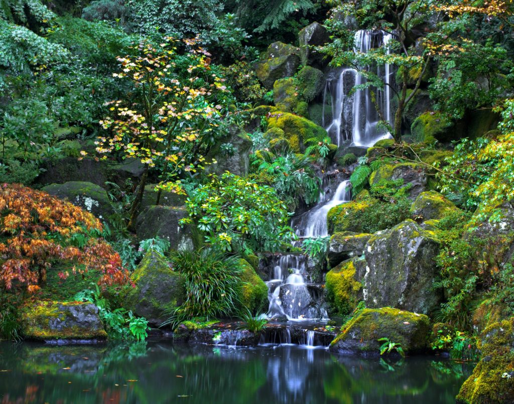 World Class Japanese Garden Portland, washington park, things to do in oregon
