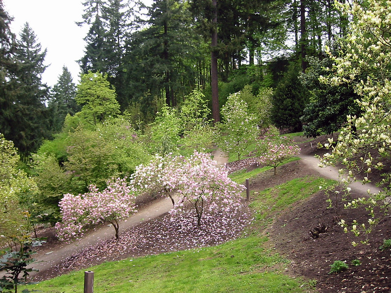 hoyt arboretum