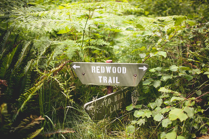 intermediate length hike, hoyt arboretum