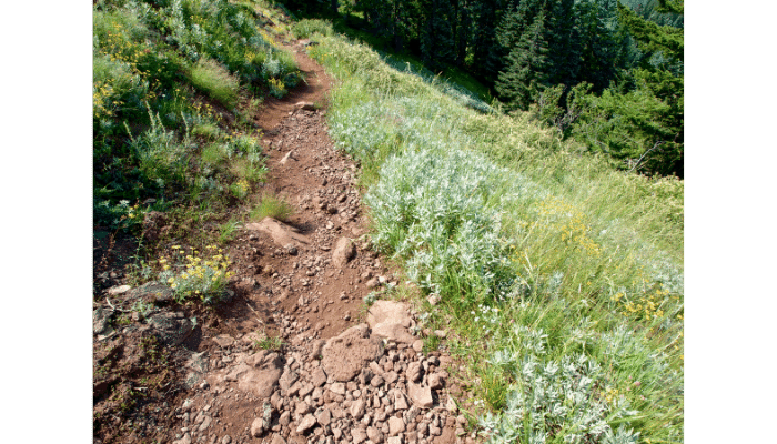 Hiking trail in Oregon