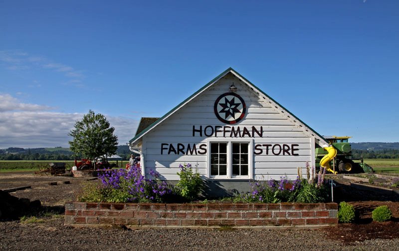 Pick Some Of The Freshest Strawberries Ever At This Beautiful Oregon Farm