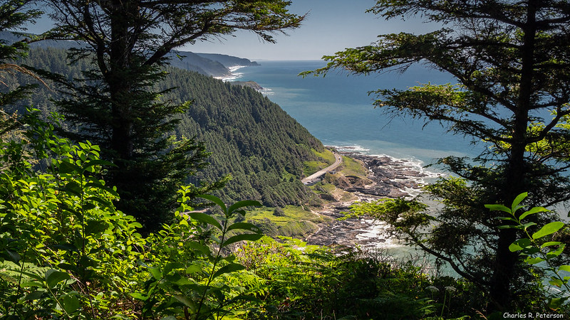 The Ultimate Travel Guide to Oregon’s Siuslaw National Forest
