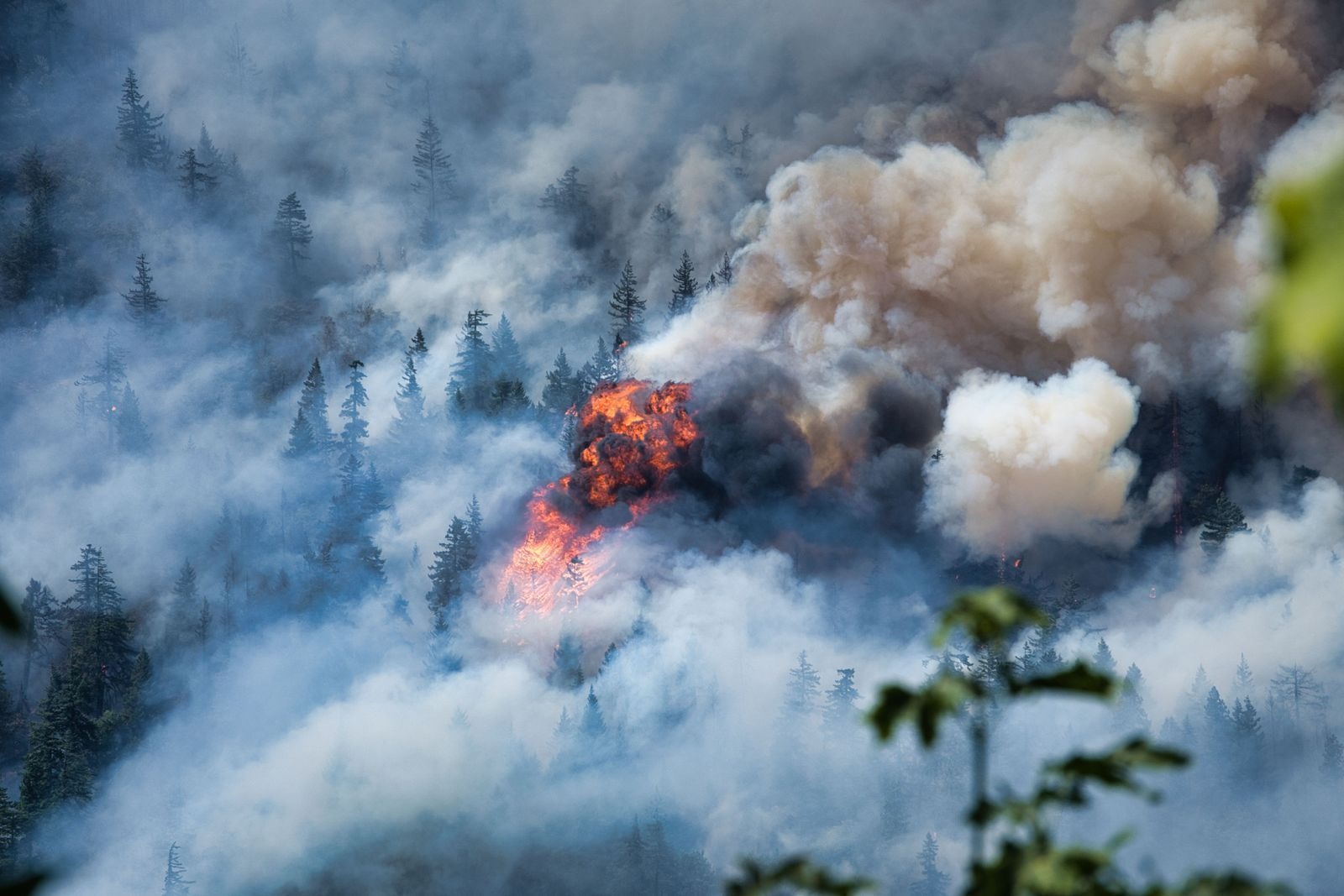 Raging Tunnel Five Fire in Columbia River Gorge Claims Numerous Buildings
