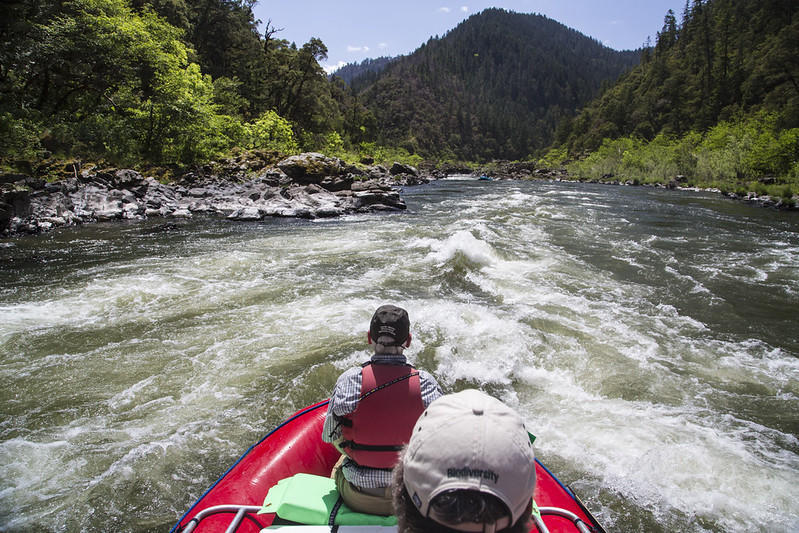 rogue river rafting trips, southern oregon, things to do, wild and scenic river, guide, tours