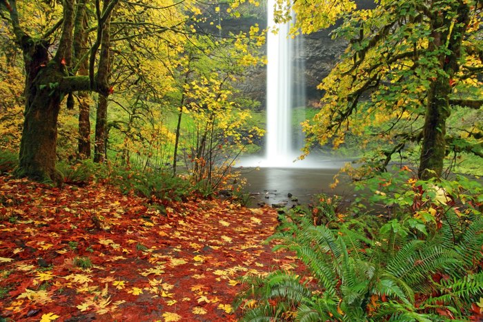 silver falls state park