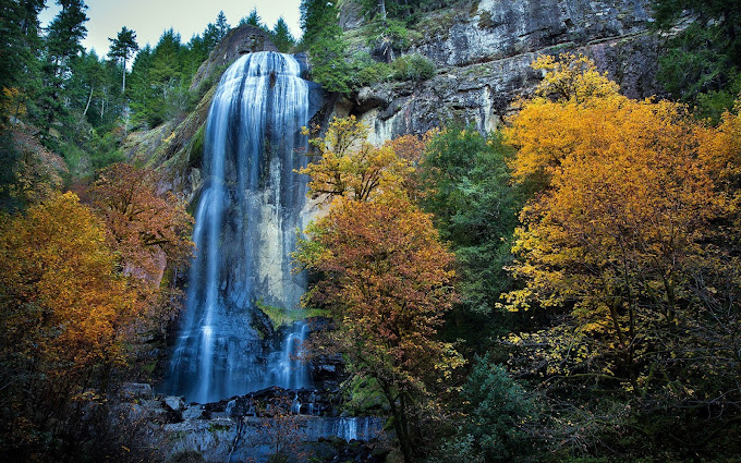 Fall in Love with Fall at Oregon’s Golden & Silver Falls