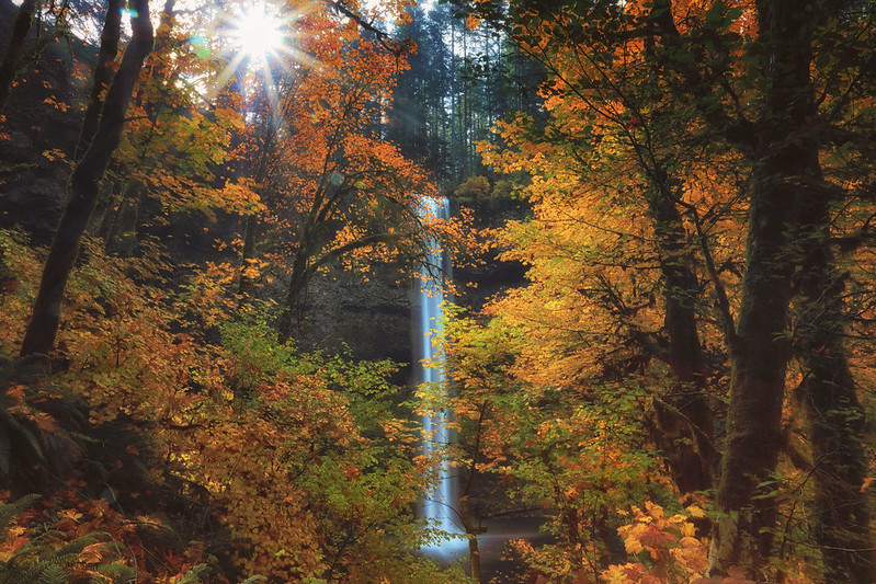 Explore Fall In Oregon: 12 Places To See Gorgeous Fall Colors