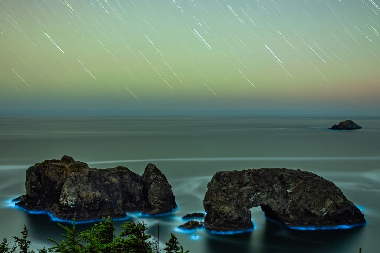 Photographer Captures Oregon’s Arch Rock Bathed in Bioluminescent Beauty