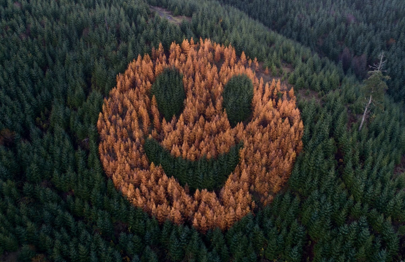 How To Catch A Glimpse Of Oregon’s Elusive Smiley Face Hill