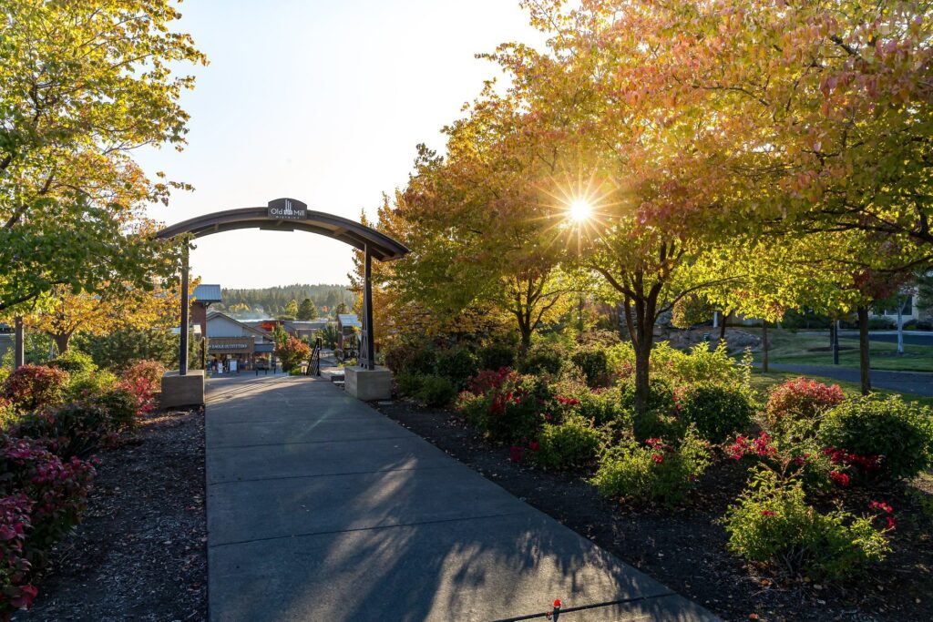 A paved path leads into the Old Mill District. It's lined with trees and plants.