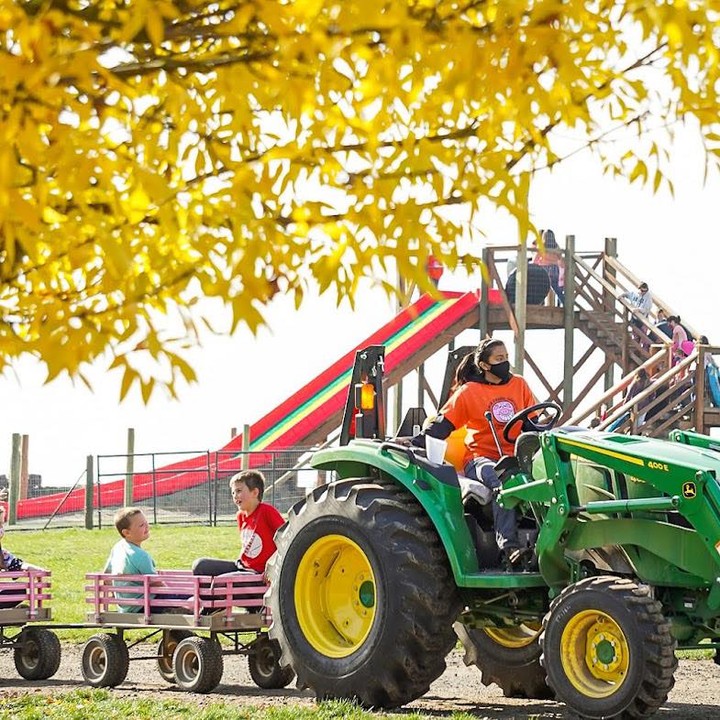 French Prairie Gardens, St. Paul, Oregon, Willamette Valley, Tualitin Valley, Pumpkin Patch, Family Fun, Fall, Autumn, Things To Do, Apple Cider Donuts, Gardens, Bakery, Hay Rides, Halloween