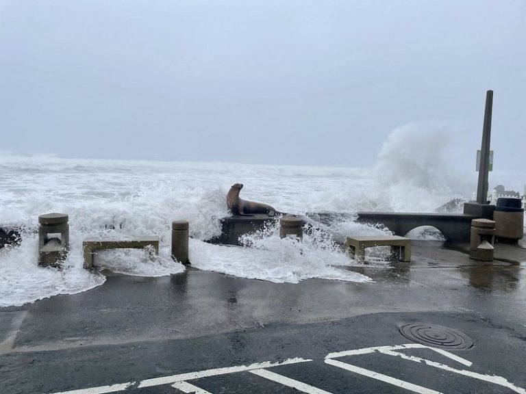 Spectacular King Tides to Grace Oregon’s Coast in Coming Months