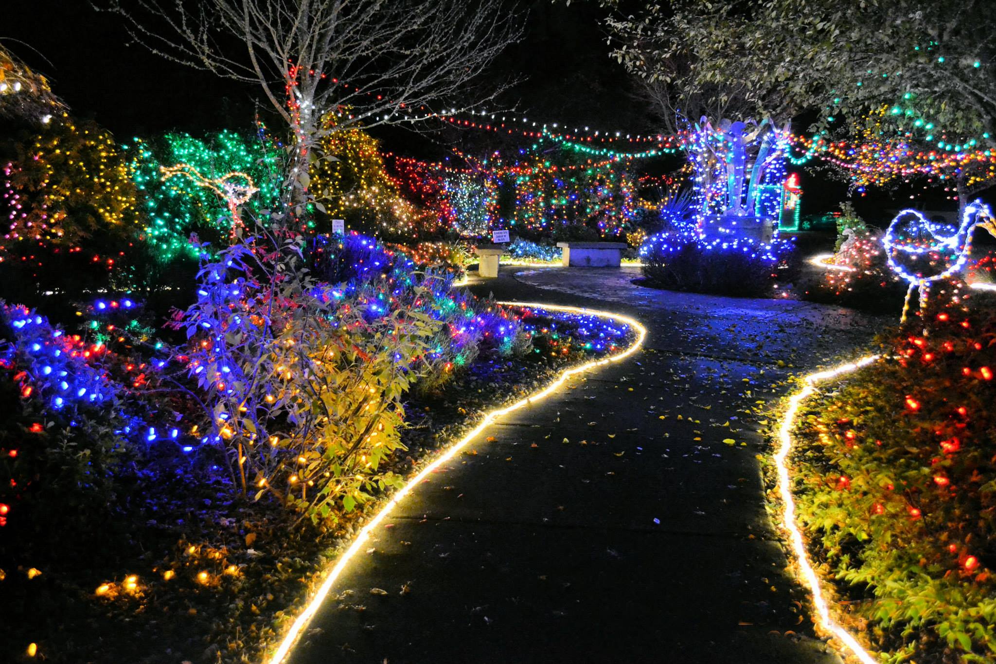 9 Magical Places To See Christmas Lights In Oregon In 2023