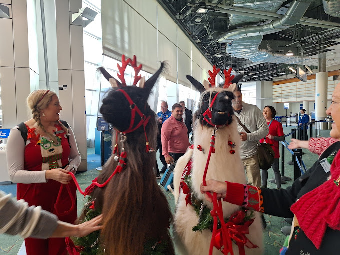 A Few Lucky Visitors to the Portland Airport Got a Furry Surprise This Week