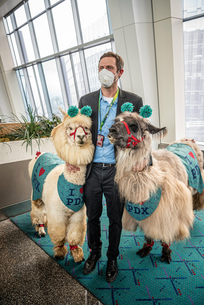 llamas at concourse E