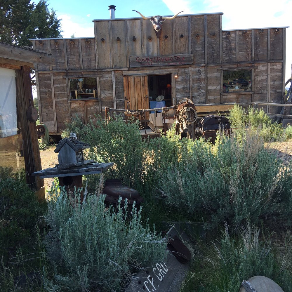 The outside of The Cowboy Dinner Tree. It's a rustic wood building with sage brush outside and saddles hanging over a wooden rail.