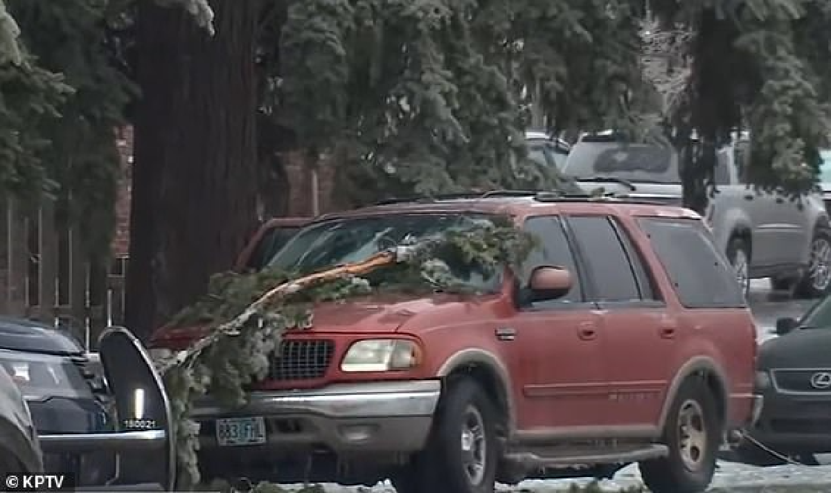 3 People in Portland Dead After Car Shocked By Downed Power Lines