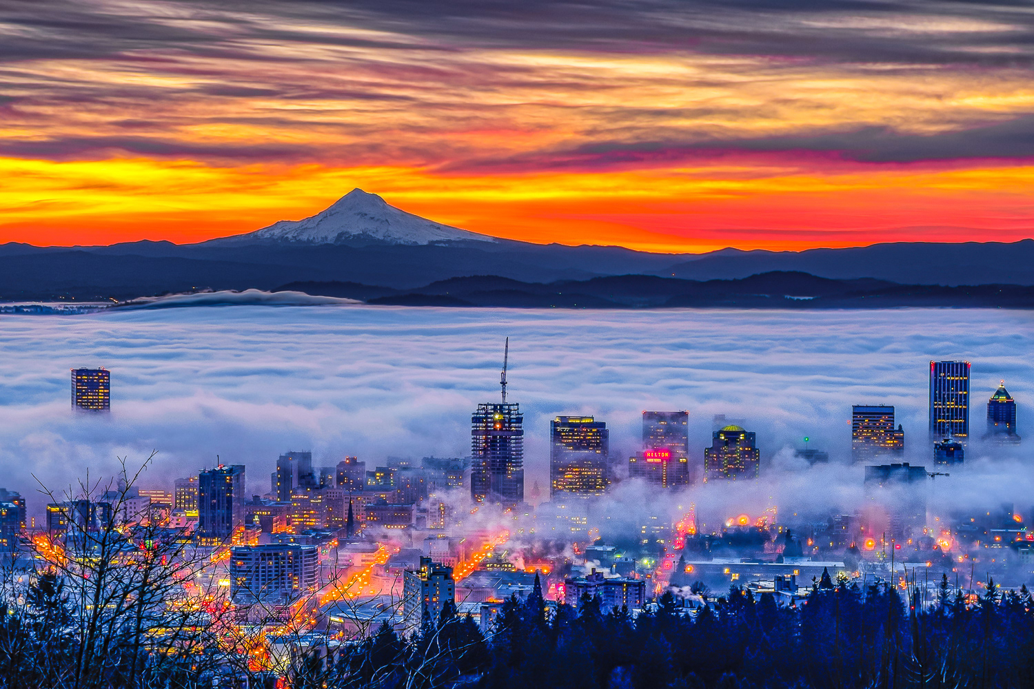 The Ultimate Guide to the Best Portland Restaurants in 2024