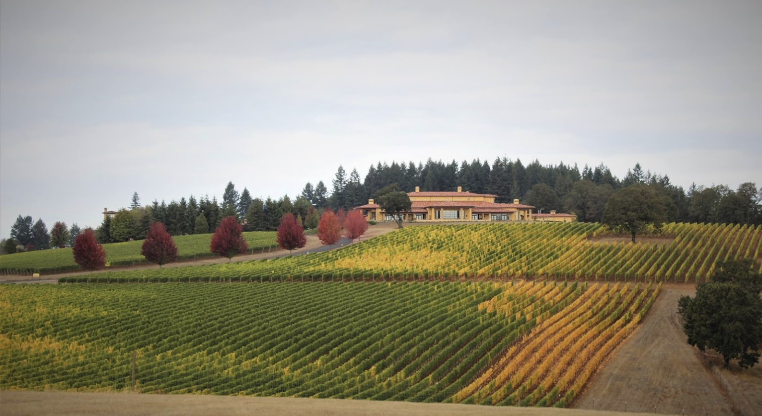 This Fun Wine Shuttle Lets You Choose From 3 of the Finest Vineyards in the Willamette Valley