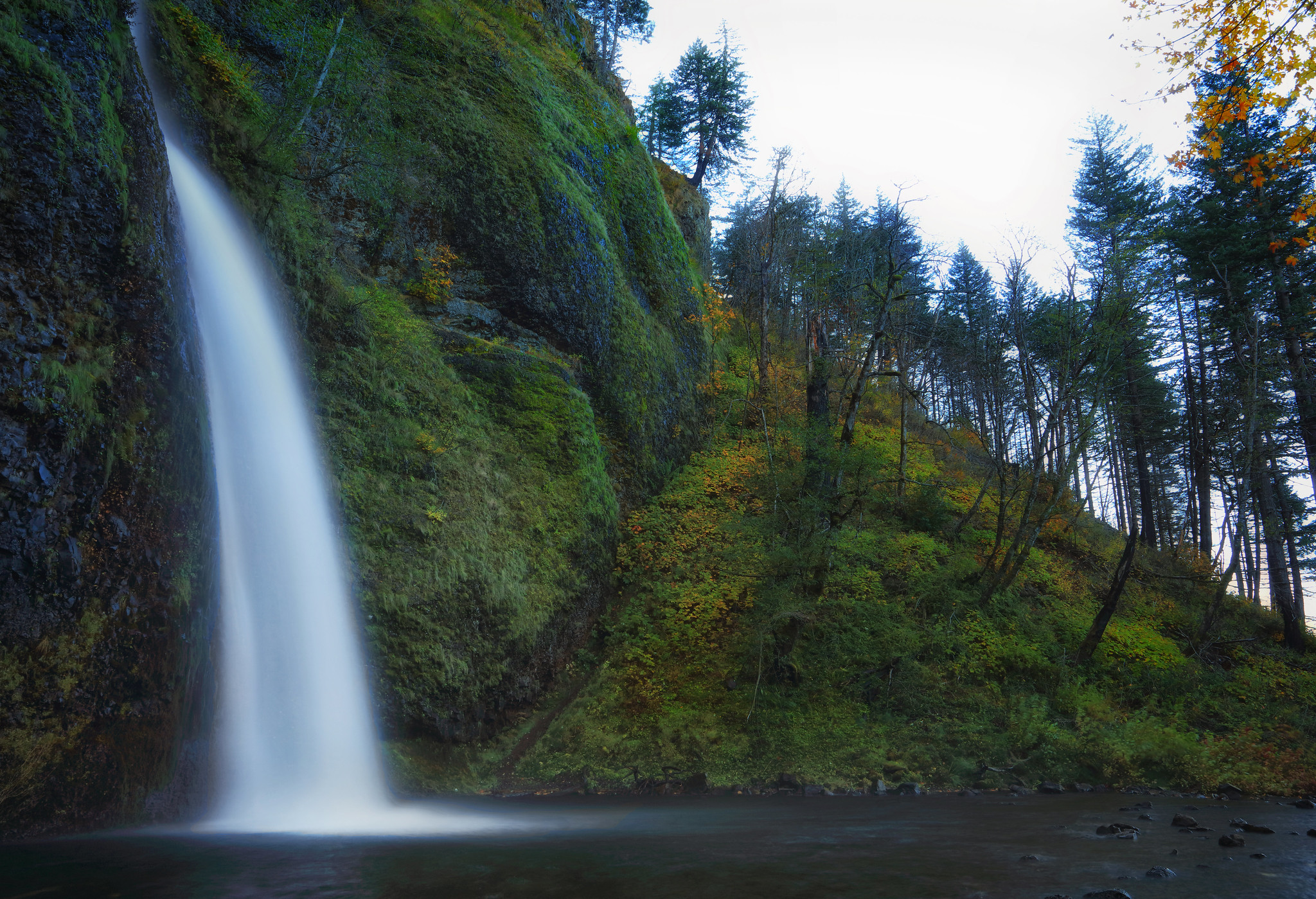 Portland Woman Tragically Falls to Her Death on a Hiking Trail in Oregon